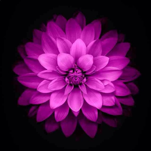 Meet your Posher, Irene - Picture 1 of 1